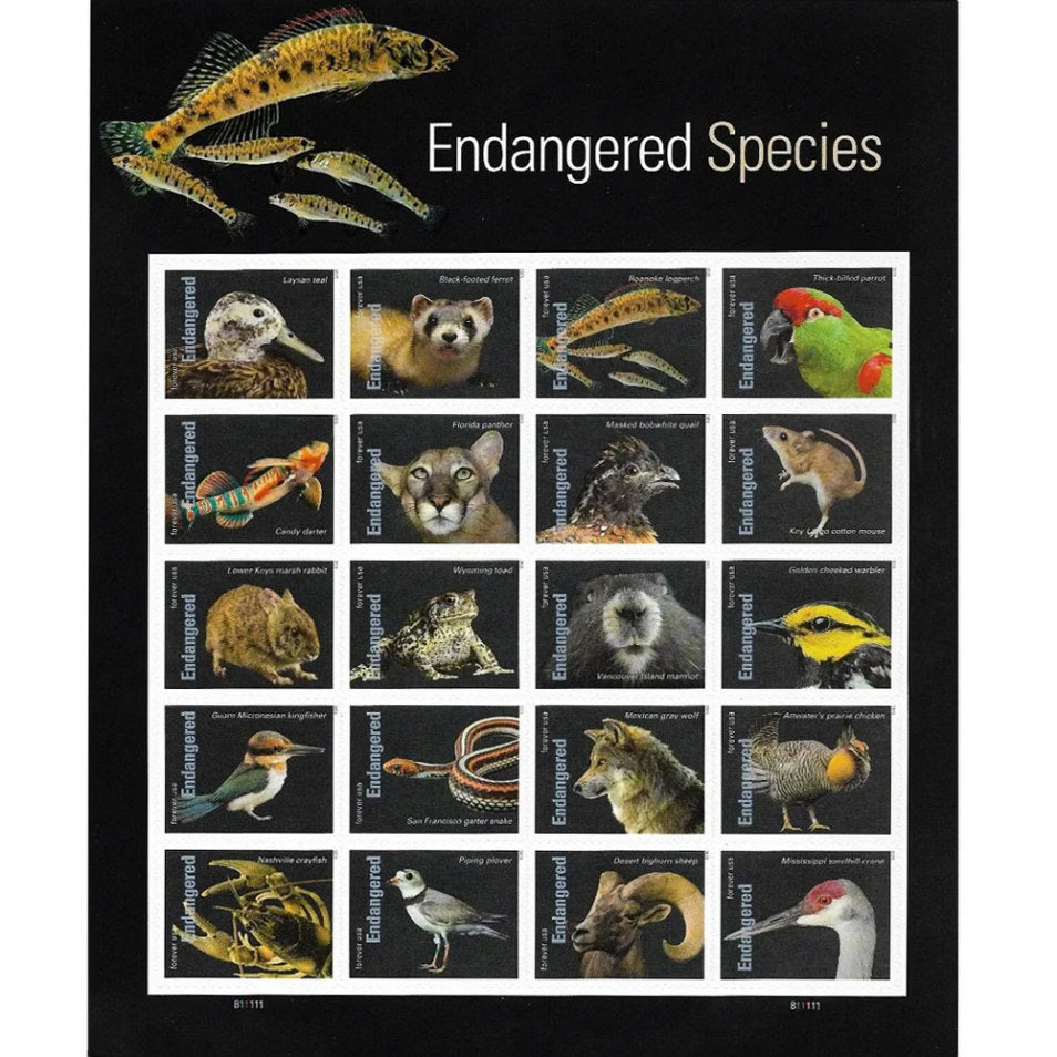 Special Price: $198 Get 1000 Forever Stamps, Various Styles On Sale, can Mail Letters, Envelopes and Others