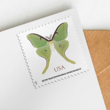 NOT Forever Stamp-Non-Machinable Surcharge $1.27 Stamps 2025 Luna Moth – Nature Series, First-Class Rate