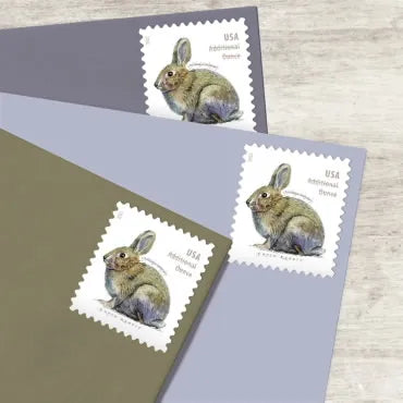 NOT Forever Stamp-Additional Ounce Forever Stamps 2021 Brush Rabbit – Nature Series, Postage