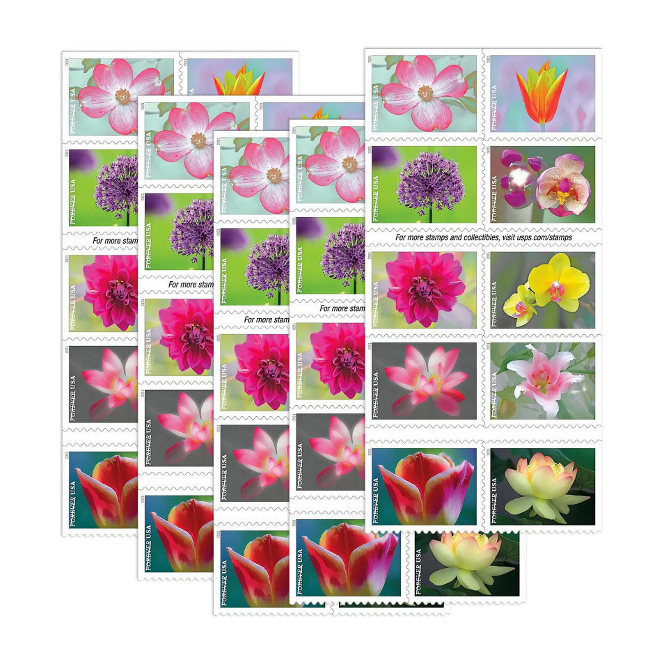 Special Price: $198 Get 1000 Forever Stamps, Various Styles On Sale, can Mail Letters, Envelopes and Others