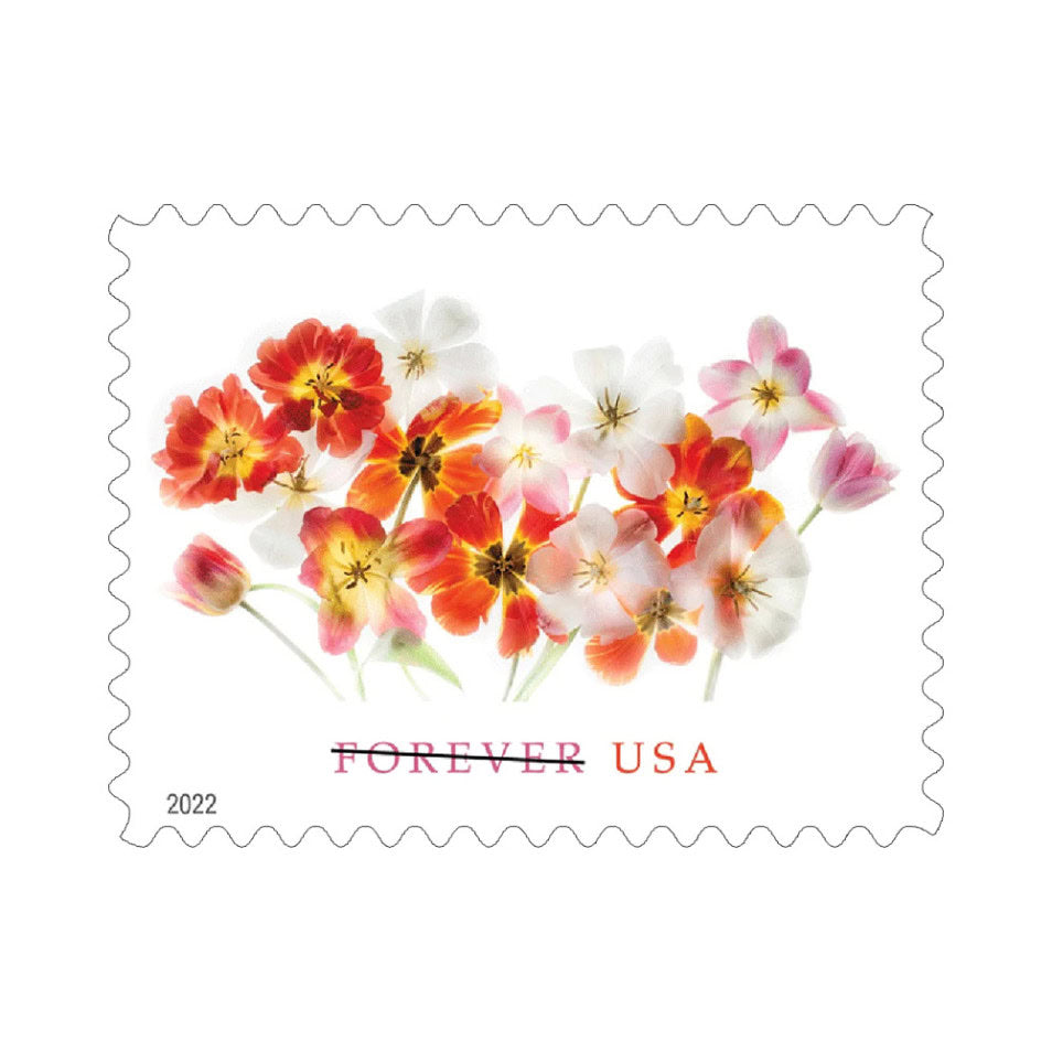 $489 Get 3000 Forever Stamps, 100+ Styles Available