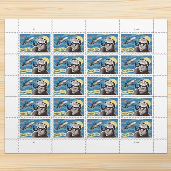 Special Price: $198 Get 1000 Forever Stamps, Various Styles On Sale, can Mail Letters, Envelopes and Others