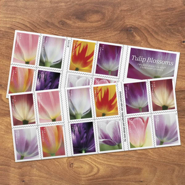 Special Price: $198 Get 1000 Forever Stamps, Various Styles On Sale, can Mail Letters, Envelopes and Others