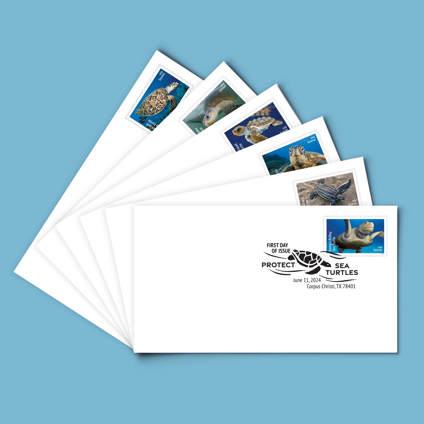 Forever Stamps 2024 Kemp’s Ridley Sea Turtle – Nature Series, First-Class Postage