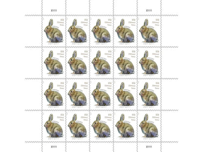 NOT Forever Stamp-Additional Ounce Forever Stamps 2021 Brush Rabbit – Nature Series, Postage