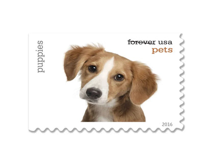 Forever Stamps 2016 Pets – Animal Companions (Puppies), First-Class Postage