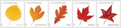Postcard Rate Stamps 2025 Autumn Leaves – Nature Series, First-Class Rate